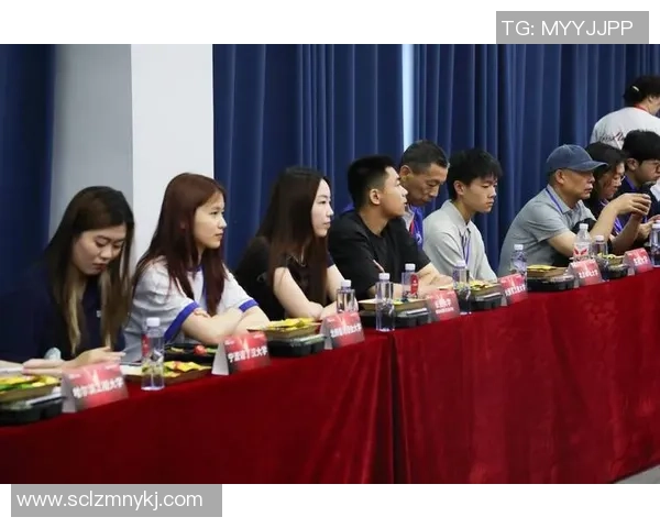 西安乒乓球队区域防守策略的创新与实践探讨